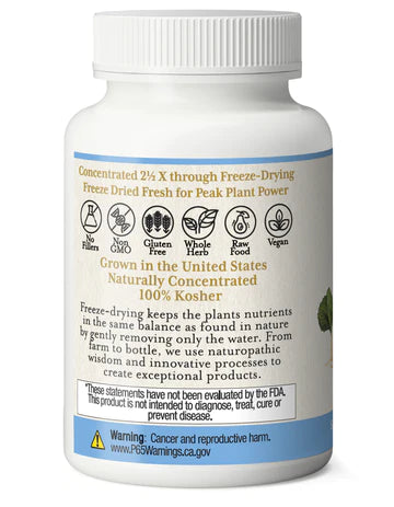 Eclectic Herb - Gotu Kola - RealLifeHealing