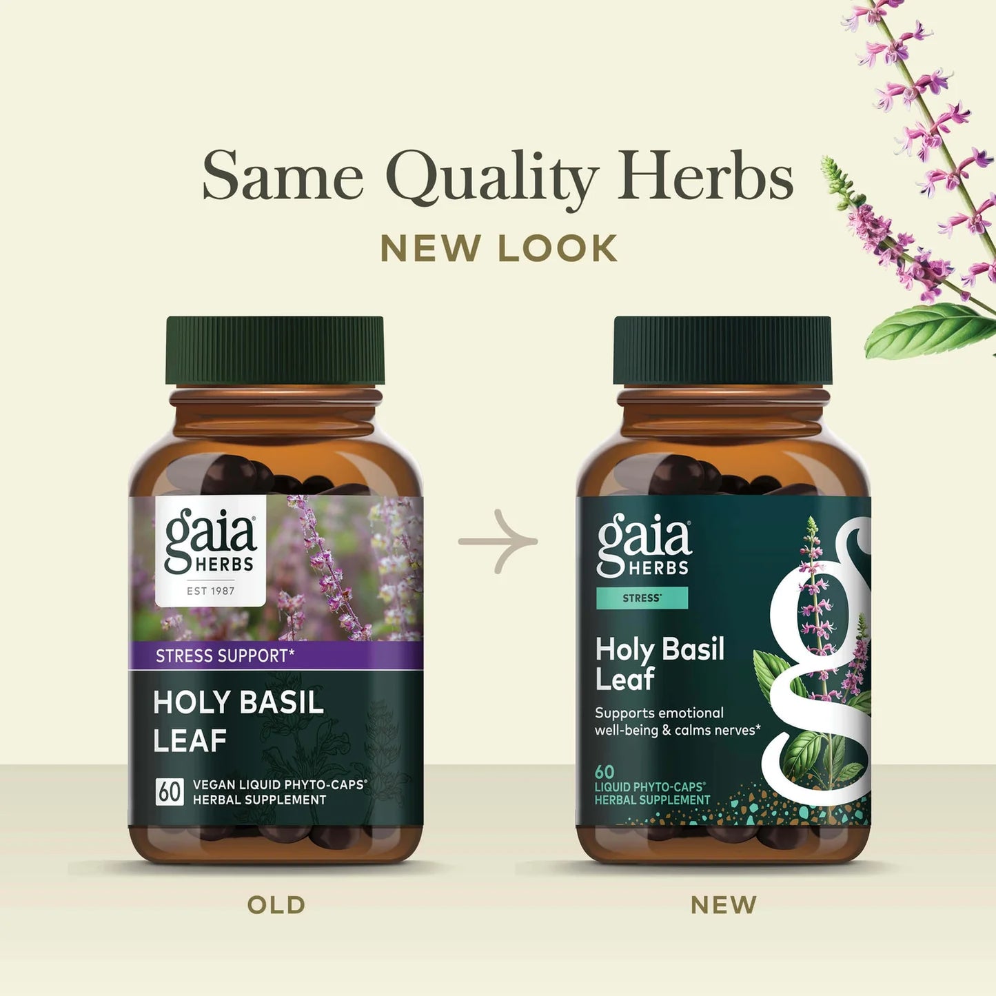 Gaia Herbs - Holy Basil Leaf