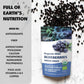 LOOV Wild Blueberries - Freeze Dry - RealLifeHealing