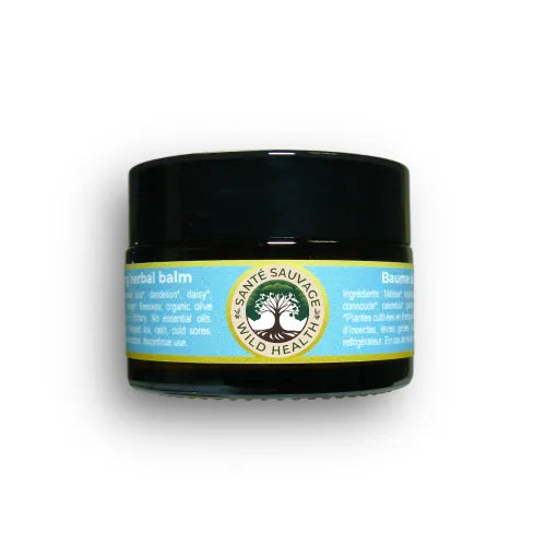 Wild Health - Healing Balm
