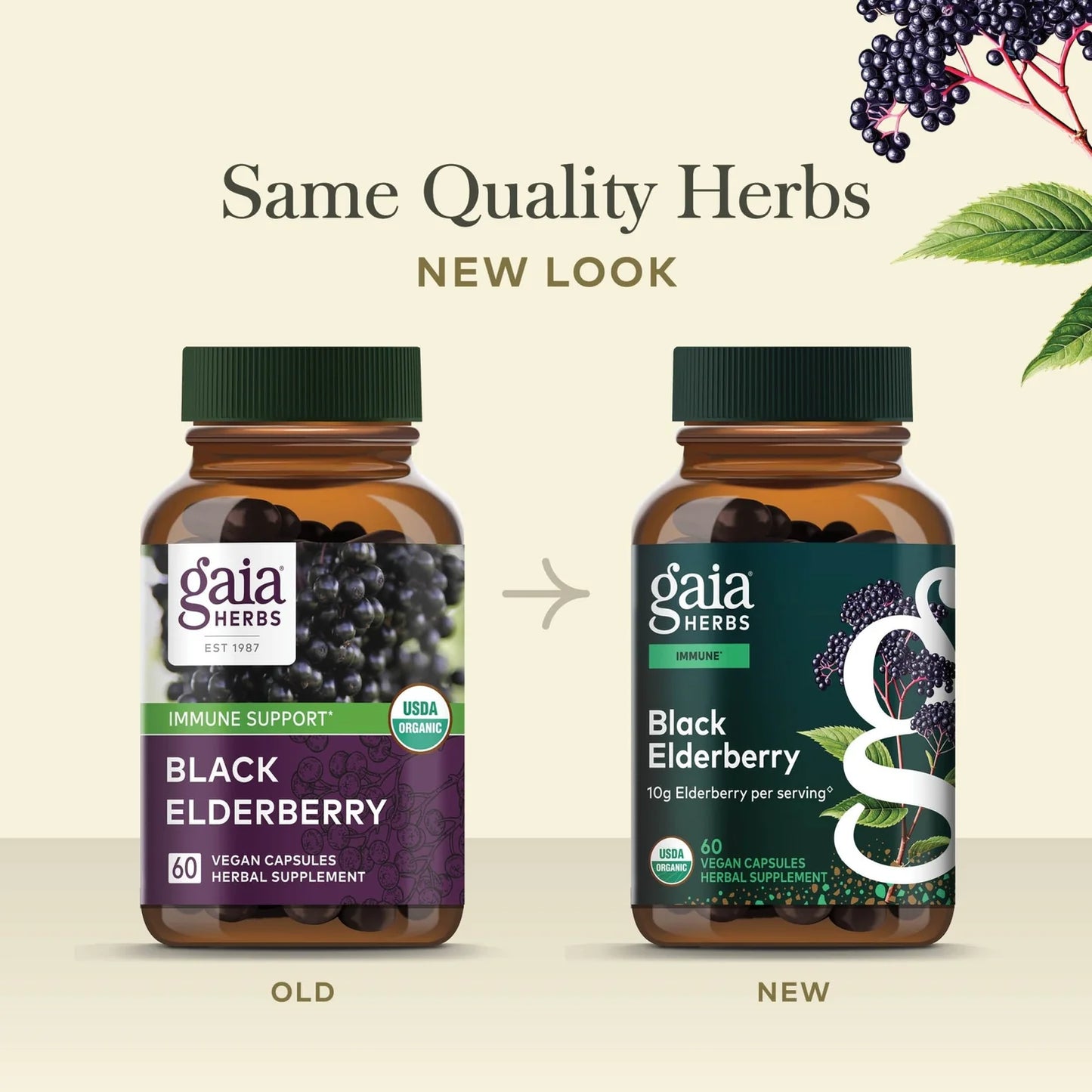 Gaia Herbs - Black Elderberry