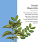 Eclectic Herb - Nettle Quercetin Capsules