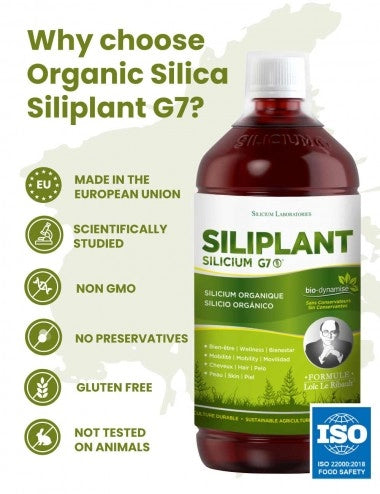 Silicium G7 Silipant - RealLifeHealing