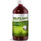 Silicium G7 Silipant - RealLifeHealing