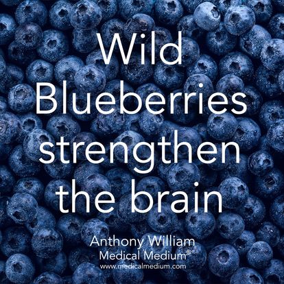 Blueberries strengthen the brain Medical Medium Anthony Wiliam