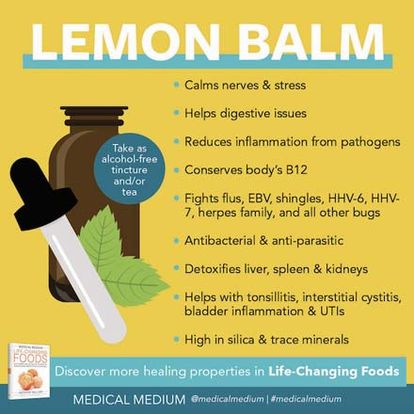 Vimergy Lemon Balm Benefits Medical Medium