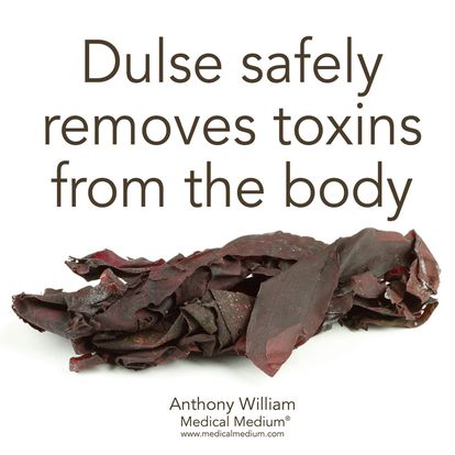 Dulse safely removes toxins Medical Medium