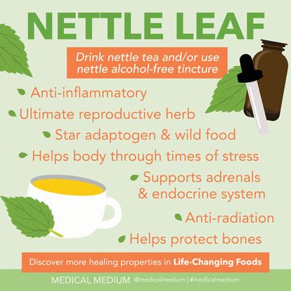 Nettle leaf Medical Medium