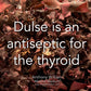 Dulse is an antiseptic for the thyroid Medical Medium