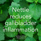 Nettle reduces gallbladder inflammation