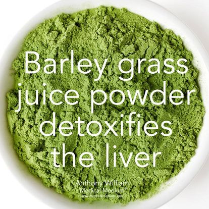 Barley grass juice powder detoxifies the liver Medical Medium Anthony
