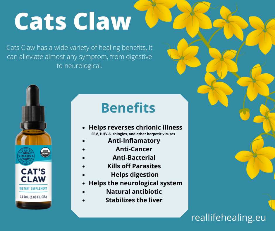 Vimergy Organic Cat's Claw Liquid - RealLifeHealing