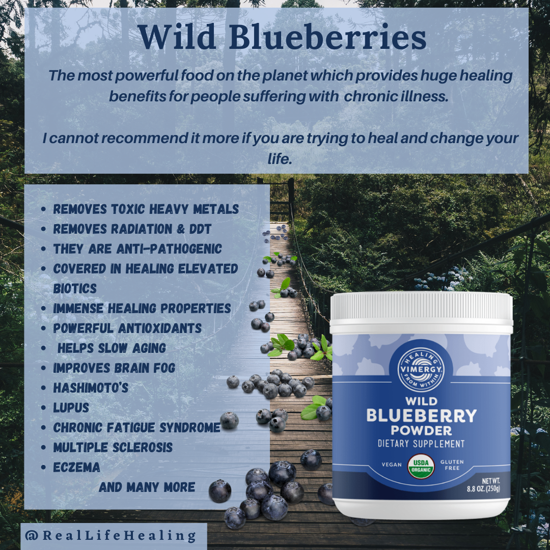 Vimergy Organic Wild Blueberry Powder - RealLifeHealing