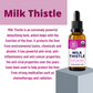 Vimergy Organic Milk Thistle Liquid - RealLifeHealing