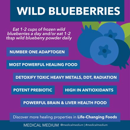 Wild Blueberries Benefits Medical Medium Anthony Wiliam